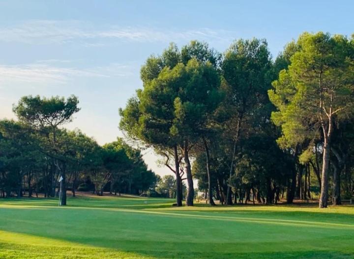 Vue Panoramique Au Domaine Et Golf De Pont Royal
